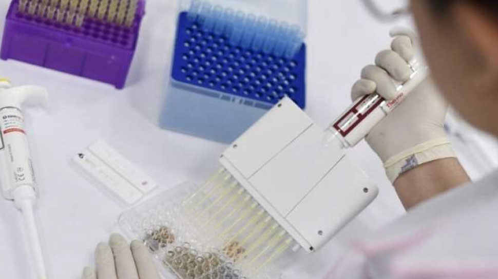 वैज्ञानिको ने किया हैरान कर देने वाला खुलासा, आप 10 मिनट में बन सकते हैं... वैज्ञानिको ने किया हैरान कर देने वाला खुलासा, आप 10 मिनट में बन सकते हैं...