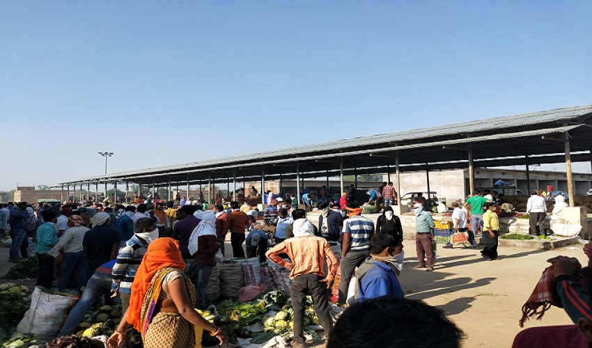 REWA : करहिया मंडी मे सोशल डिस्टेंसिंग का उड़ाया जा रहा है मखोल, काबू नहीं किया... REWA : करहिया मंडी मे सोशल डिस्टेंसिंग का उड़ाया जा रहा है मखोल, काबू नहीं किया...