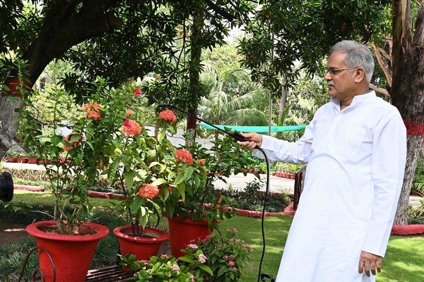 रायपुर : विश्व पर्यावरण दिवस पर मुख्यमंत्री भूपेश बघेल ने अपने निवास परिसर में रोपे अमरूद, आम और बोहार के पौधे
