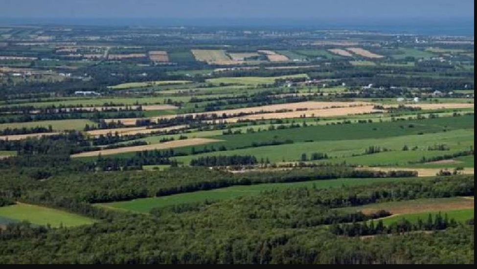 अधिकारियों ने इनकी 174 एकड़ जमीन अपने लोगो में बाँटी, छत्तीसगढ़ में मचा हड़कंप अधिकारियों ने इनकी 174 एकड़ जमीन अपने लोगो में बाँटी, छत्तीसगढ़ में मचा हड़कंप