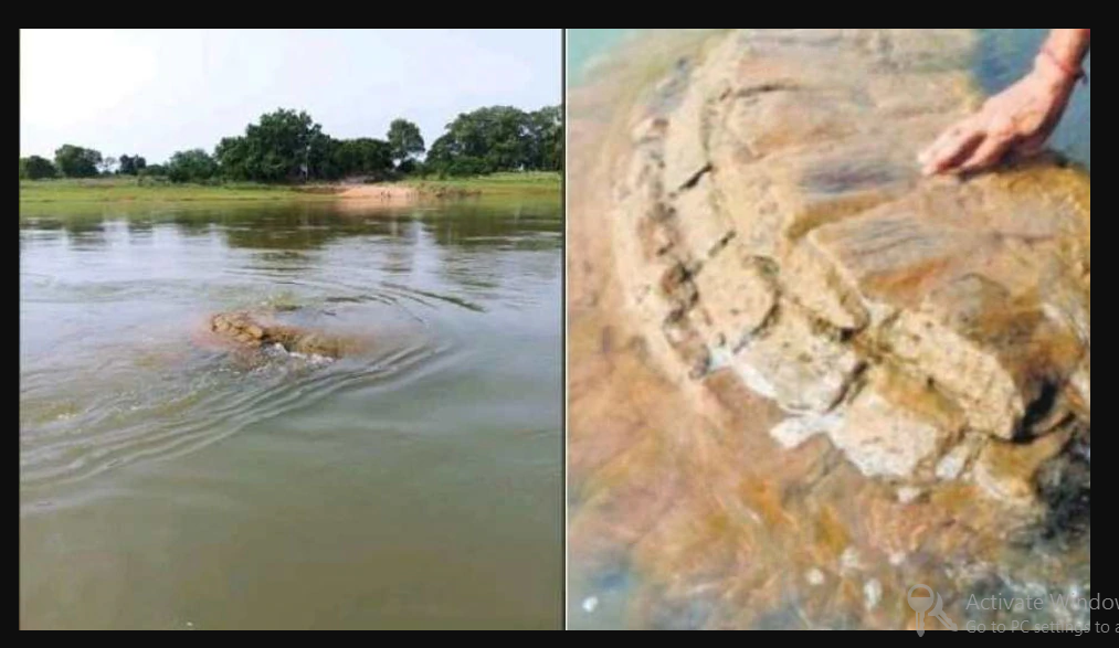 भगवान विष्णु का मंदिर नदी से निकला, लगभग 500 साल पुराना, मचा हड़कंप भगवान विष्णु का मंदिर नदी से निकला, लगभग 500 साल पुराना, मचा हड़कंप