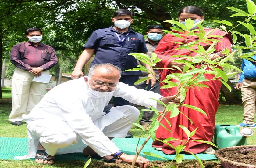 रायपुर : गृह मंत्री ने अपने निवास परिसर में पौध रोपण कर पर्यावरण संरक्षण का दिया संदेश