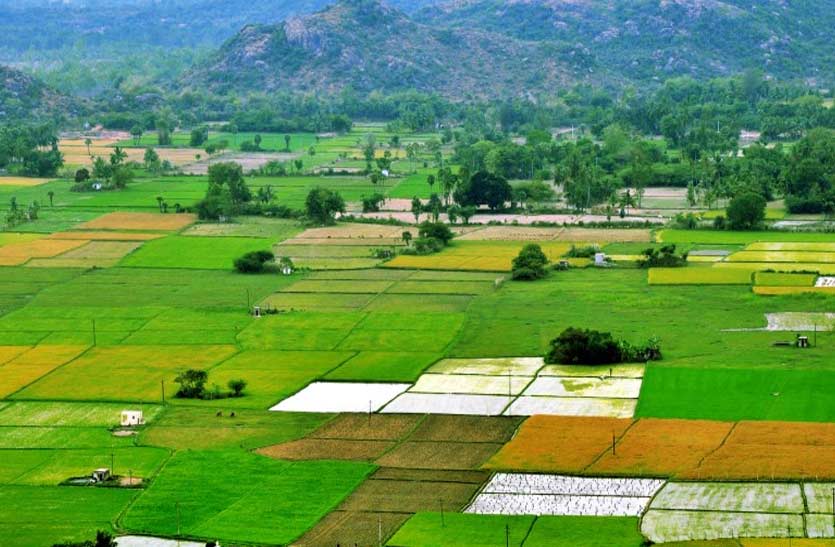 केंद्र सरकार का बड़ा फैसला, अब Online खरीद सकेंगे जमीन, ये ऐप होने वाला है लांच