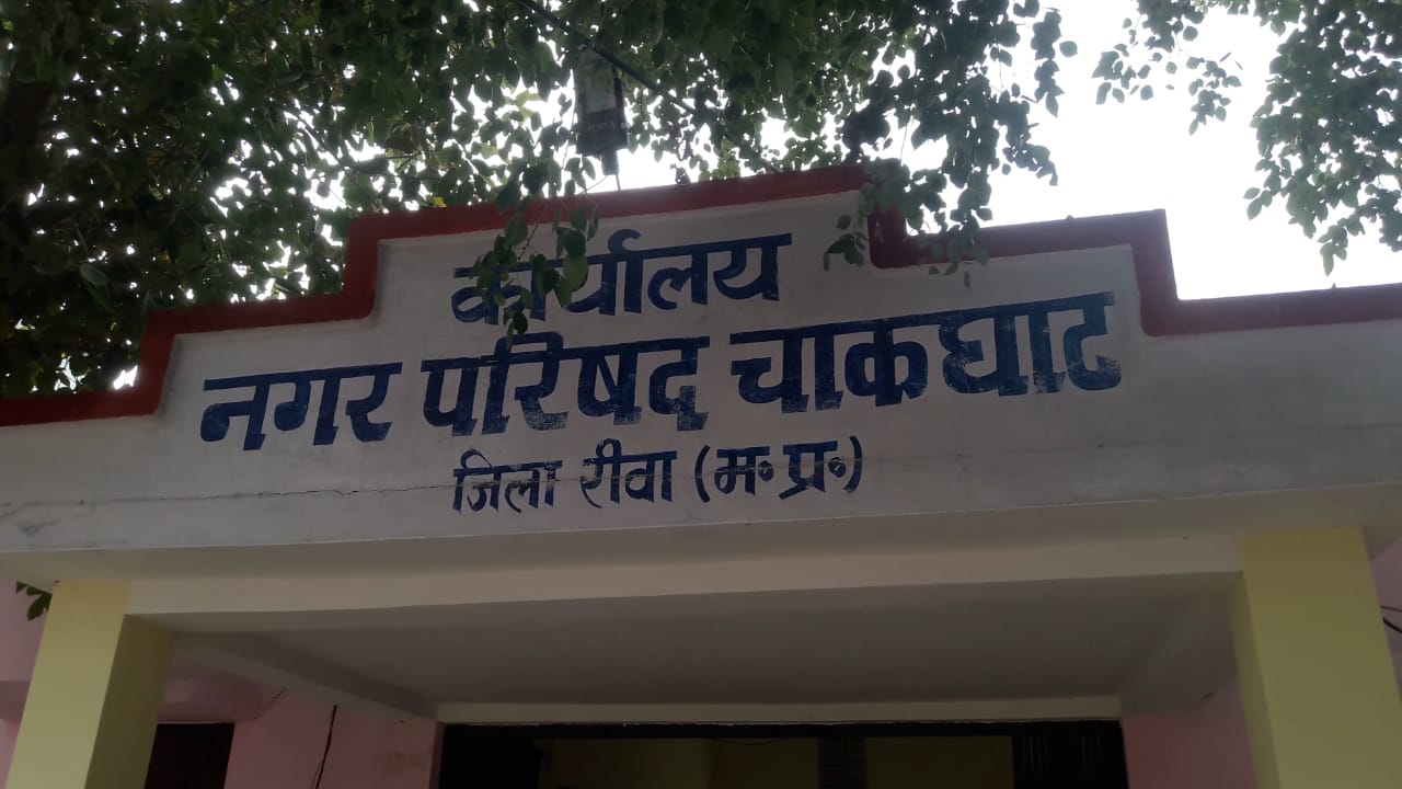 रीवा: भ्रष्ट और घूसखोर सीएमओं को पुनः मिला नगर परिषद चाकघाट का प्रभार, हटाएं जाने की मांग