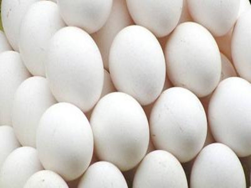 CM SHIVRAJ का ऐलान, मध्यप्रदेश के आंगनबाड़ियों में नहीं दिया जाएगा अंडा