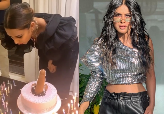 निया शर्मा के केक का शेप देख भड़के फैंस, बोले निया तुम्हे शर्म....