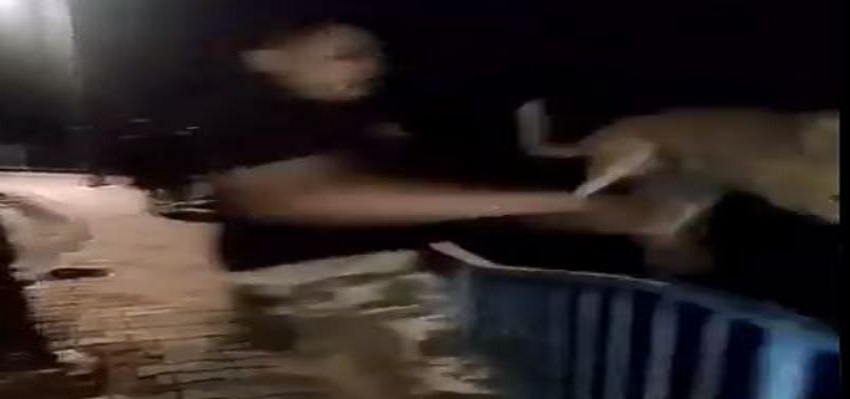 भोपाल: फेमस होने की सनक ने युवक को बना दिया शैतान, वीडियो लाइव कर कुत्ते को तालाब में फेंका भोपाल: फेमस होने की सनक ने युवक को बना दिया शैतान, वीडियो लाइव कर कुत्ते को तालाब में फेंका