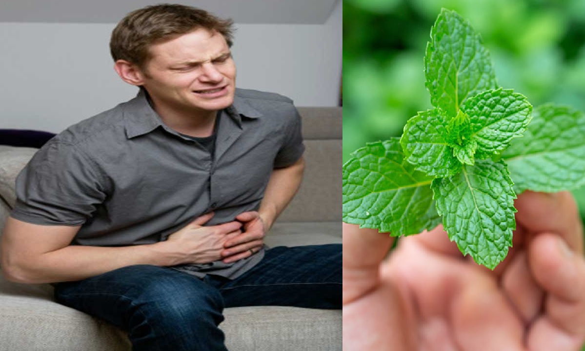 पेट के गैस से है परेशान तो आजमाएं यह घरेलू नुस्खा, जल्द मिलेगा आराम पेट के गैस से है परेशान तो आजमाएं यह घरेलू नुस्खा, जल्द मिलेगा आराम