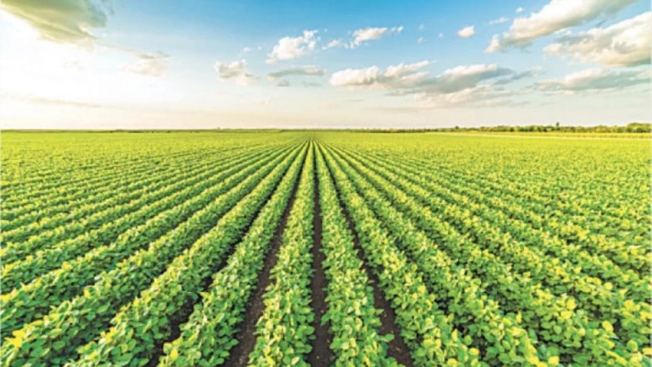 अप्रैल-सितंबर में कृषि निर्यात में 43.4% की वृद्धि: केंद्रीय कृषि मंत्रालय