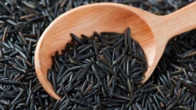 कैंसर बीमारी से लड़ने में कारगार काला चावल विटामिन,कैल्शियम से है भरपूर, अच्छी कीमत में होता है बिक्री