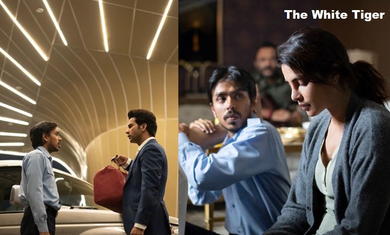 Most Awaited The White Tiger में एक साथ नजर आएंगे Priyanka Chopra एवं Rajkumar Rao Most Awaited The White Tiger में एक साथ नजर आएंगे Priyanka Chopra एवं Rajkumar Rao