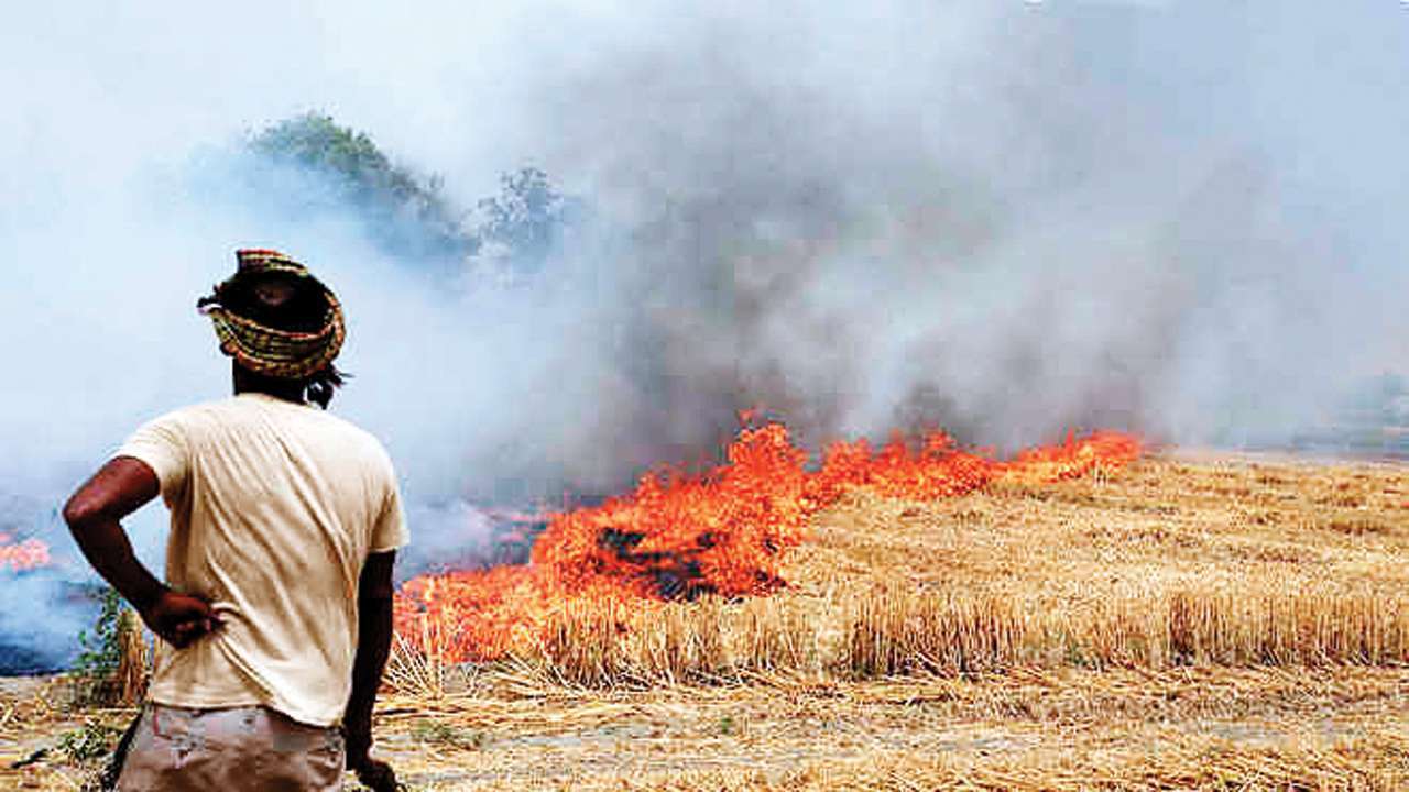 खेत की आग में स्पाइक के कारण दिल्ली की हवा की गुणवत्ता हो सकती है खराब: रिपोर्ट