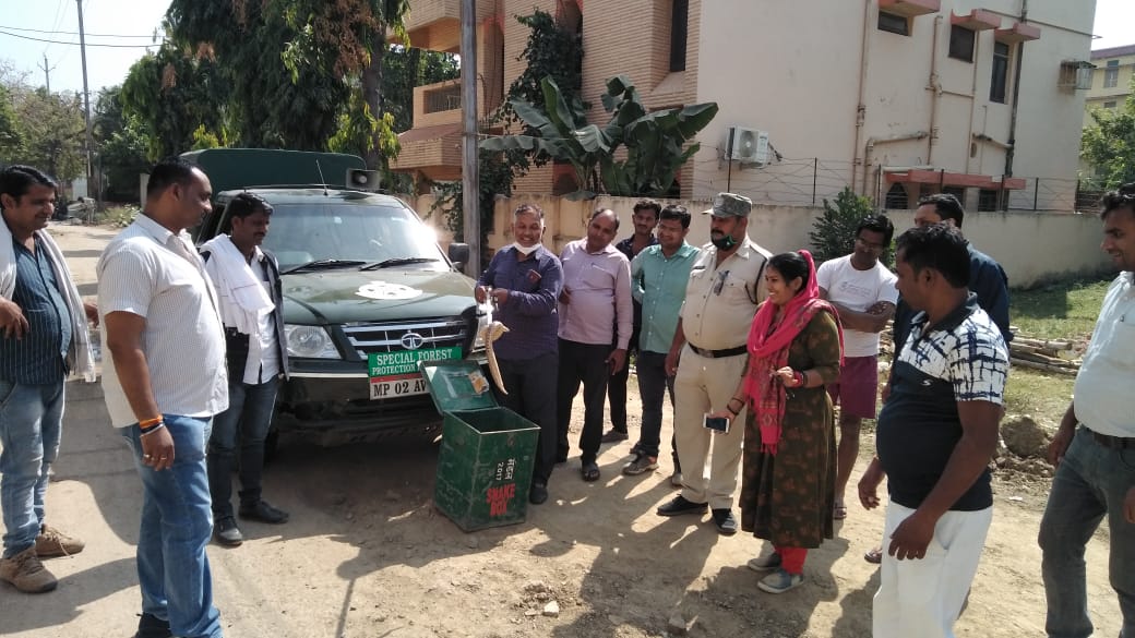 रीवा: घर में बैठे विशालकाय अजगर मेहमान को देखकर चौंक गए लोग, वन विभाग ने चलाया रेस्क्यू ऑपरेशन...