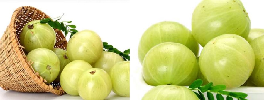 सर्दियों में सुपरफूड है आंवला, इन रोगों के लिए है रामबाण, ऐसे करें सेवन