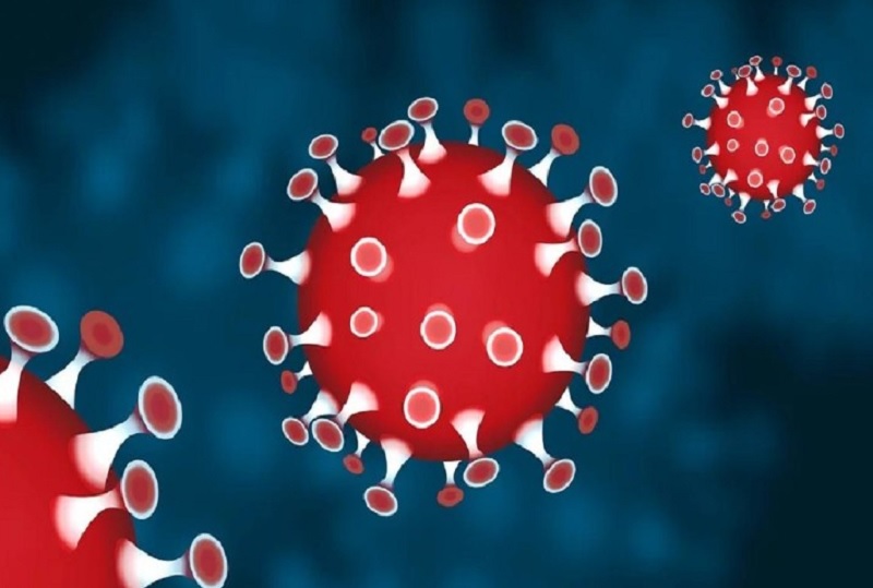 रीवा में फिर कोरोना ने बरपाया कहर, एक दिन में मिले इतने मरीज