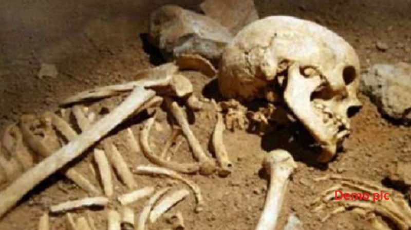 पुल के नीचे मानव कंकाल होने से मच गई सनसनी,जांच के लिए ले जाएगा लैंब पुल के नीचे मानव कंकाल होने से मच गई सनसनी,जांच के लिए ले जाएगा लैंब