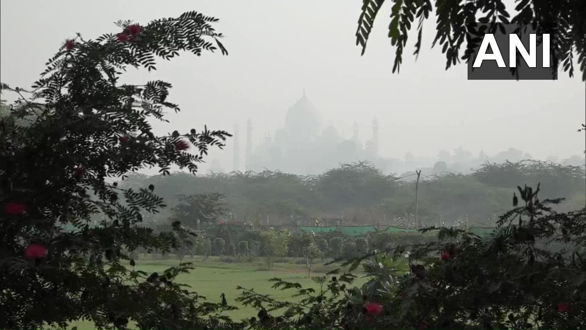 हवा की गुणवत्ता का हाल बेहाल,स्मॉग की मोटी चादर के पीछे छिपा ताज़महल