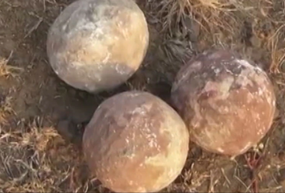 MP में मिले सदियों पुराने अंडे, फुटबॉल समझ कर खेल रहे थे बच्चे, सुरक्षित और संरक्षित करेगा प्रशासन