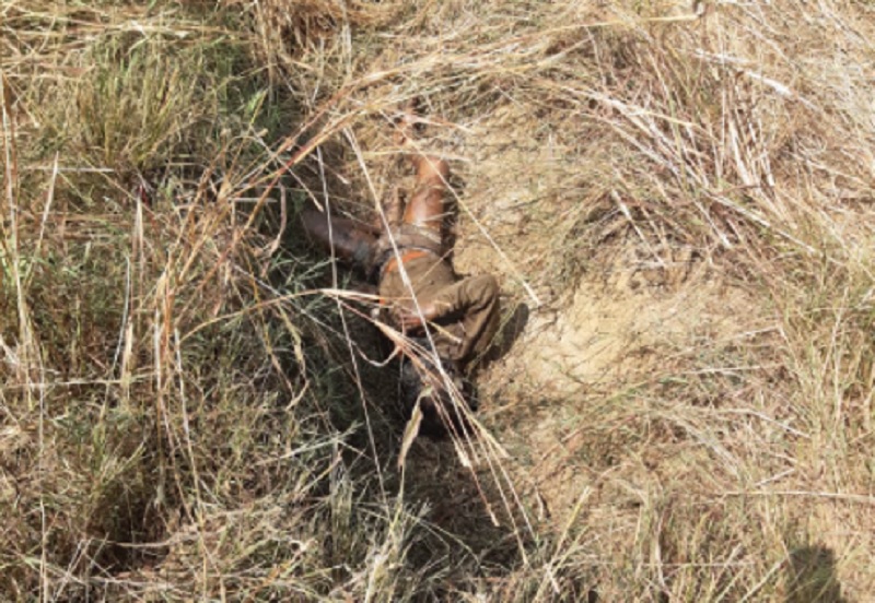 Rewa news : दो शव अलग-अलग क्षेत्र में मिले Rewa news : दो शव अलग-अलग क्षेत्र में मिले