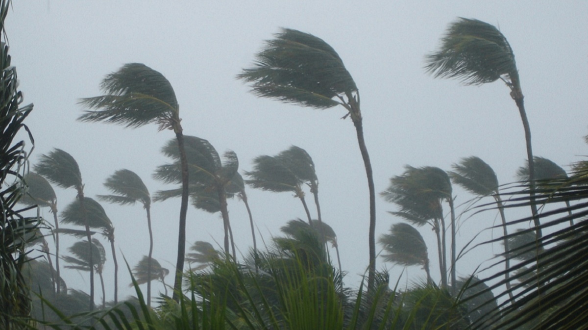 Cyclone Burevi : पास आ गया है तूफान, तटीय क्षेत्रों में हवाओं के साथ-साथ समुद्र में लहरें भी होने लगी तेज़, देखिये Video