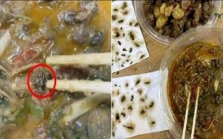 महिला ने ऑनलाइन मंगवाया था खाना, पैकेट खोलते ही डरकर भाग गई, फिर जा छिपी कमरे में...