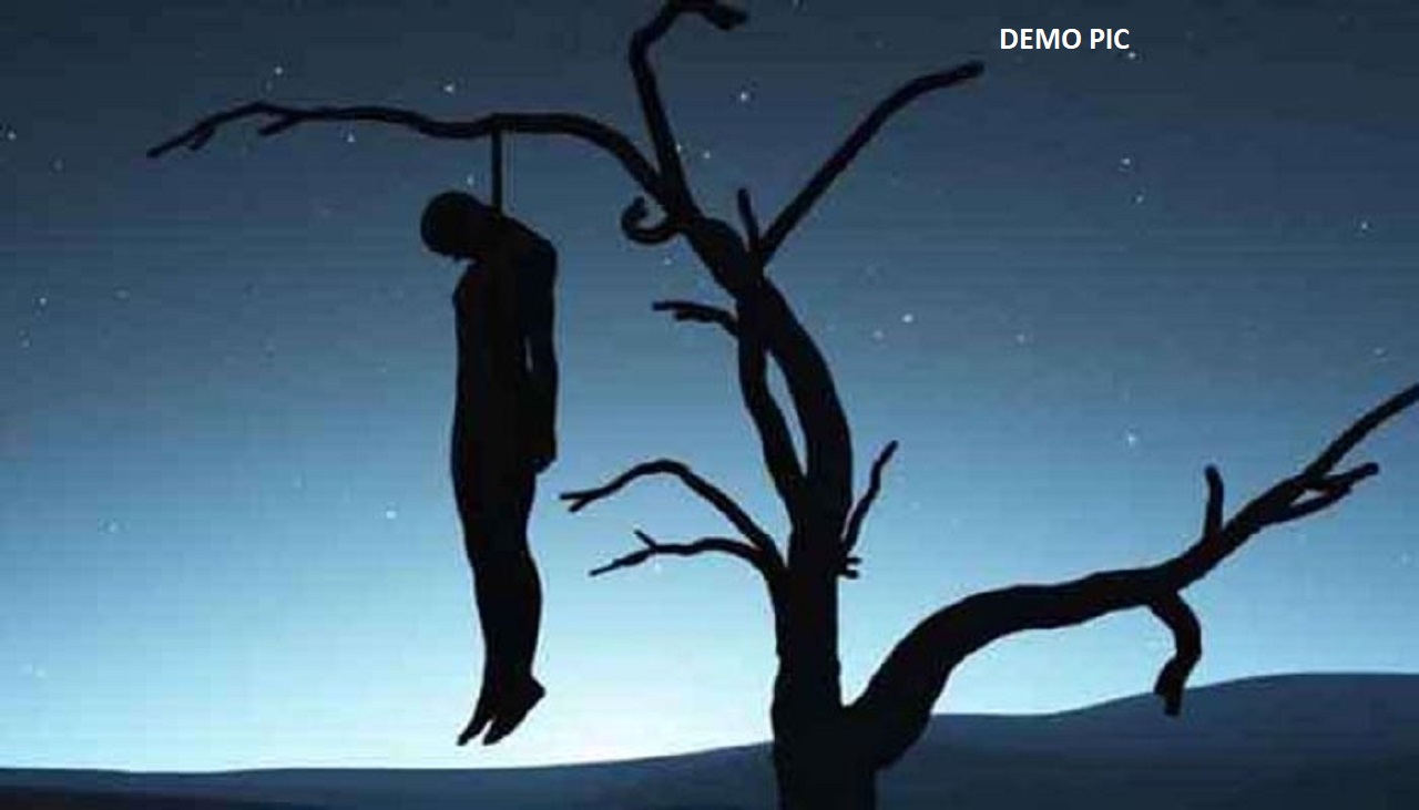 पेड़ से लटकता मिला मानव कंकाल, नीचे बिखरा मिला पैसा, आखिर यह कैसा हादसा.. पेड़ से लटकता मिला मानव कंकाल, नीचे बिखरा मिला पैसा, आखिर यह कैसा हादसा..