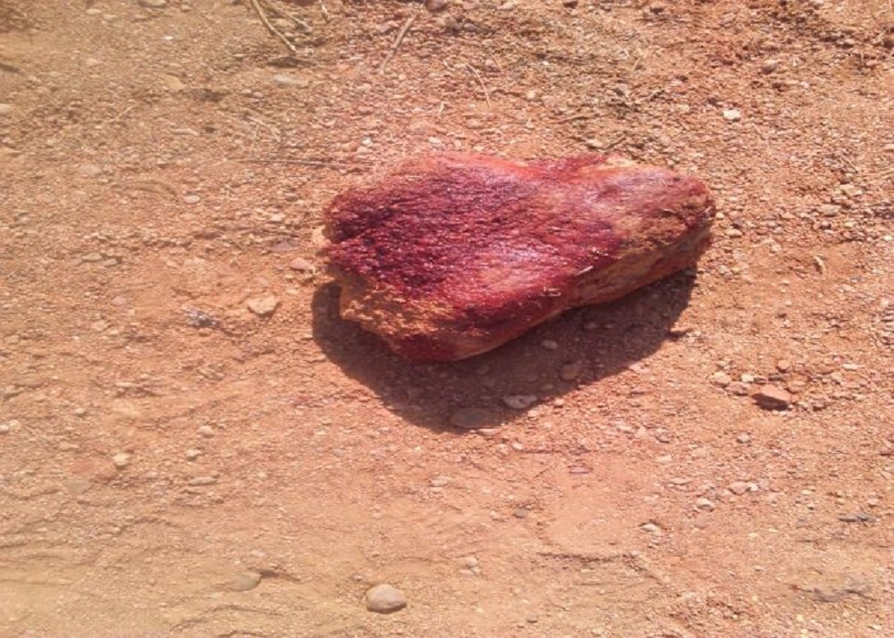 Satna : प्रेम-प्रसंग में युवक की ऐसे हुई हत्या की देखने वालों के खड़े हो गये रोगटे