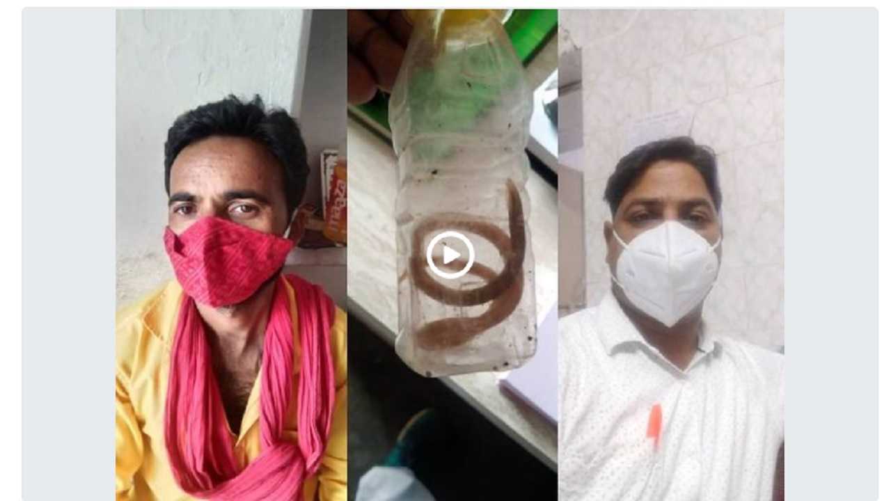 Rewa News : युवक के पेट से निकला डेढ़ फिट लम्बा सॉप की तरह कीड़ा, देखने वाले हैरान, हो रही जांच Rewa News : युवक के पेट से निकला डेढ़ फिट लम्बा सॉप की तरह कीड़ा, देखने वाले हैरान, हो रही जांच