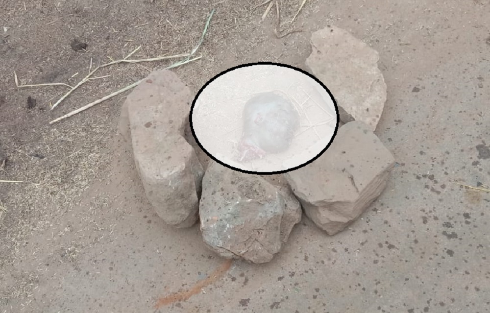 रीवा में नवजात का कटा सिर देखकर हैरान हुए ग्रामवासी ...