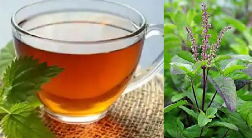 Weight loss Drink : सर्दियों में बढ़ते वजन से हैं परेशान तो डाइट में शामिल करें यह चीज, कई किलो कम हो जाएगा वेट Weight loss Drink : सर्दियों में बढ़ते वजन से हैं परेशान तो डाइट में शामिल करें यह चीज, कई किलो कम हो जाएगा वेट