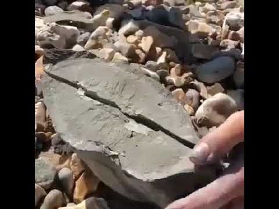 यहां के पत्थरों को कीडे़ कुतरकर बना देते हैं भगवान, पूजे जाते हैं घर-घर...