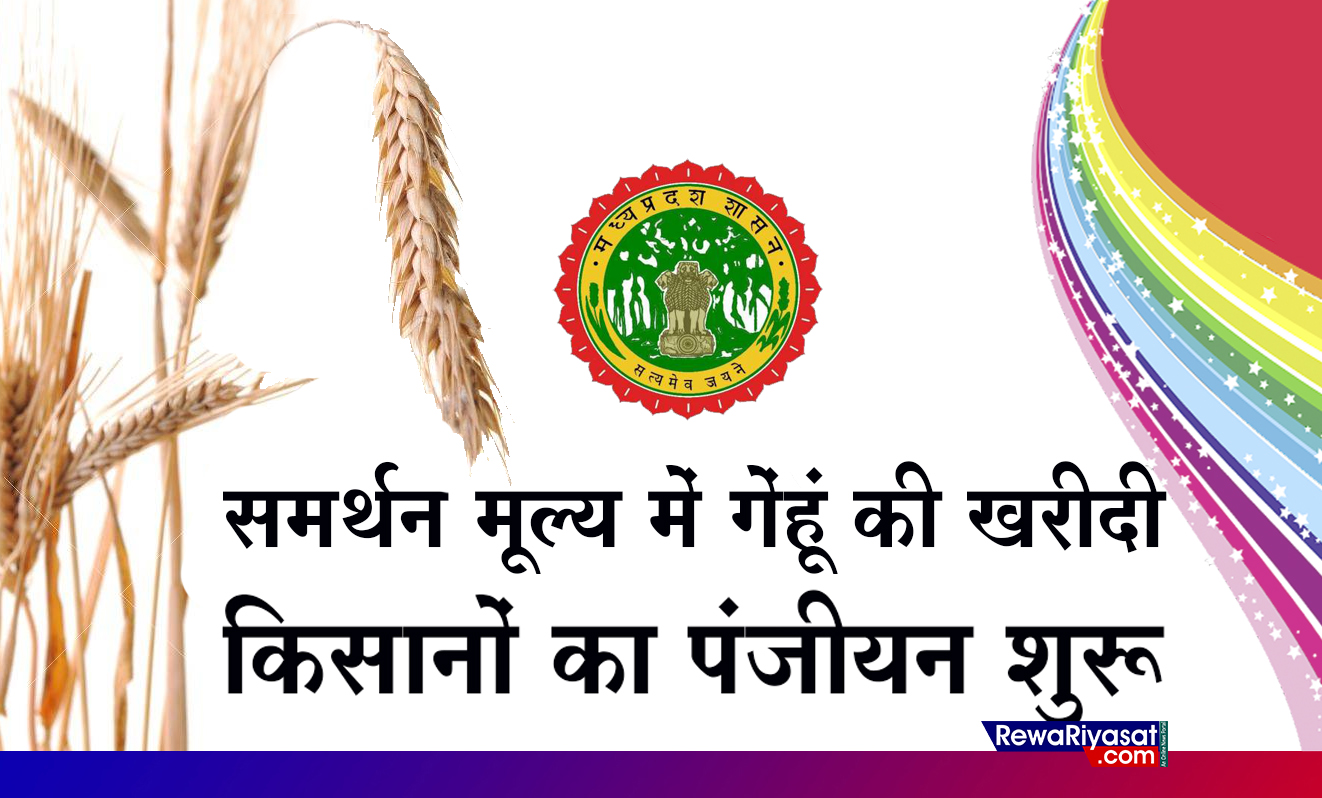 मध्यप्रदेश में समर्थन मूल्य में गेंहू खरीदी के लिए किसानों का पंजीयन आज से मध्यप्रदेश में समर्थन मूल्य में गेंहू खरीदी के लिए किसानों का पंजीयन आज से