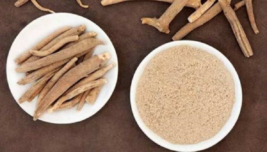 Health In Hindi: आयुर्वेद में छिपा है स्वस्थ्य जीवन का राज, गुणों की खान है अश्वगंध, जाने कैसे करें इसका.....