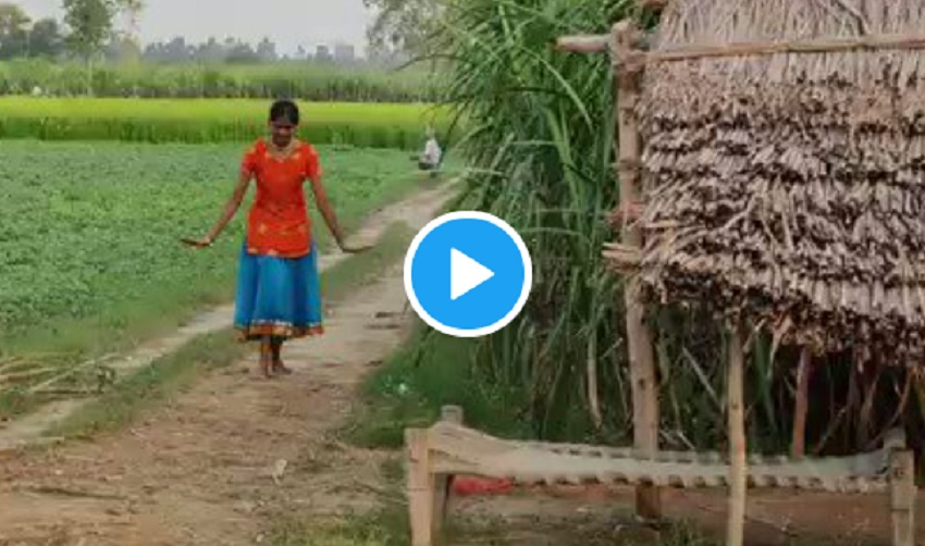 गन्ने के खेत के बगल लड़की ने किया शानदार डांस, वीडियो देख माधुरी दीक्षित ने लिखा खूबसूरत…