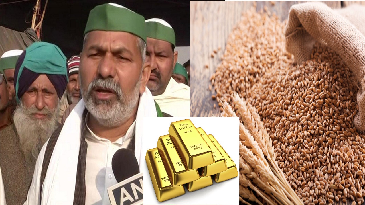 किसान आंदोलन : MSP पर टिकैत का बड़ा बयान, 1 तोला सोने के बराबर 3 क्विंटल गेहूं, पहले यही रेट था, आज भी करे सरकार... किसान आंदोलन : MSP पर टिकैत का बड़ा बयान, 1 तोला सोने के बराबर 3 क्विंटल गेहूं, पहले यही रेट था, आज भी करे सरकार...