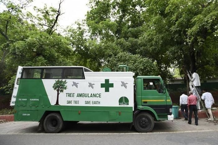 अब पेड़ों के लिए भी Tree Ambulance सेवा, मौके पर पहुंचकर किया जायेगा बीमार पौधों का इलाज....