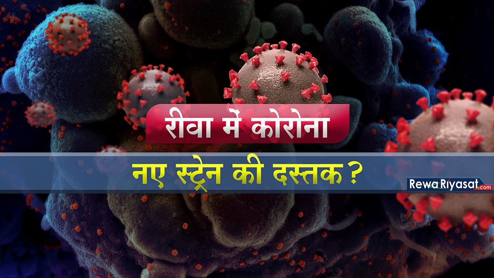 रीवा में कोरोना के नए स्ट्रेन की दस्तक? वैक्सीन के दोनों शॉट लगने के बाद भी SGMH के एक पूर्व एवं एक रिटायर्ड डीन का परिवार संक्रमित रीवा में कोरोना के नए स्ट्रेन की दस्तक? वैक्सीन के दोनों शॉट लगने के बाद भी SGMH के एक पूर्व एवं एक रिटायर्ड डीन का परिवार संक्रमित
