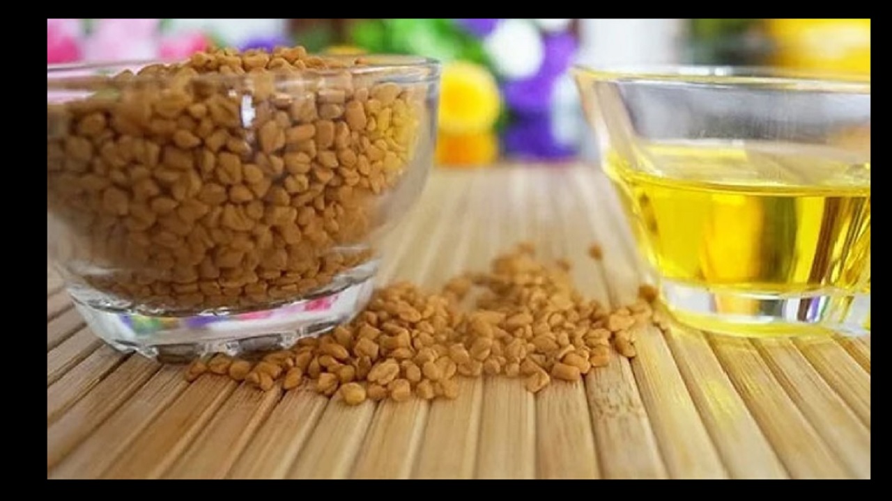 Methi Water Health Benefits : सेहत के लिए बेहद गुणकारी है मेथी का पानी, जानिए इसके लाभ