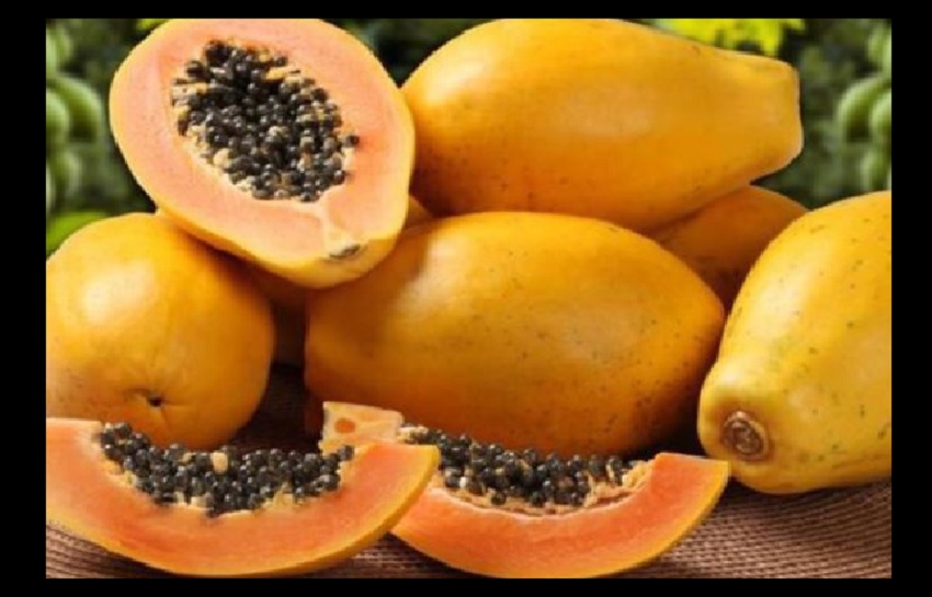 Benefits Of Papaya for Skin : स्वाद ही नहीं बल्कि सेहत के लिए बेहद लाभकारी है पपीता, जानिए इसके फायदें