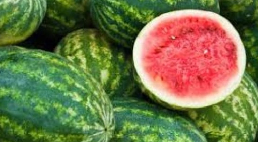 गर्मियों में इन फलों के सेवन से कन्ट्रोल किया जा सकता है हाई ब्लड प्रेसर, जानिए कौन है वो फल