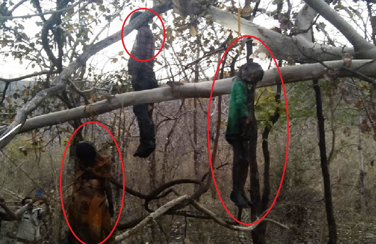 सतना के जंगल में पेंड़ पर लटकते मिले तीन कंकाल, 10 दिनों से लापता थें महिला, किशोर और 5 साल का बच्चा
