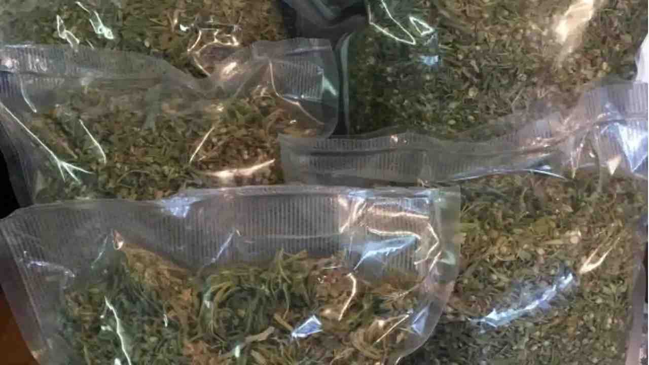 Rewa में गस्त के दौरान पुलिस ने पकड़ा 4 किलो गांजा, पढ़िए पूरी खबर Rewa में गस्त के दौरान पुलिस ने पकड़ा 4 किलो गांजा, पढ़िए पूरी खबर