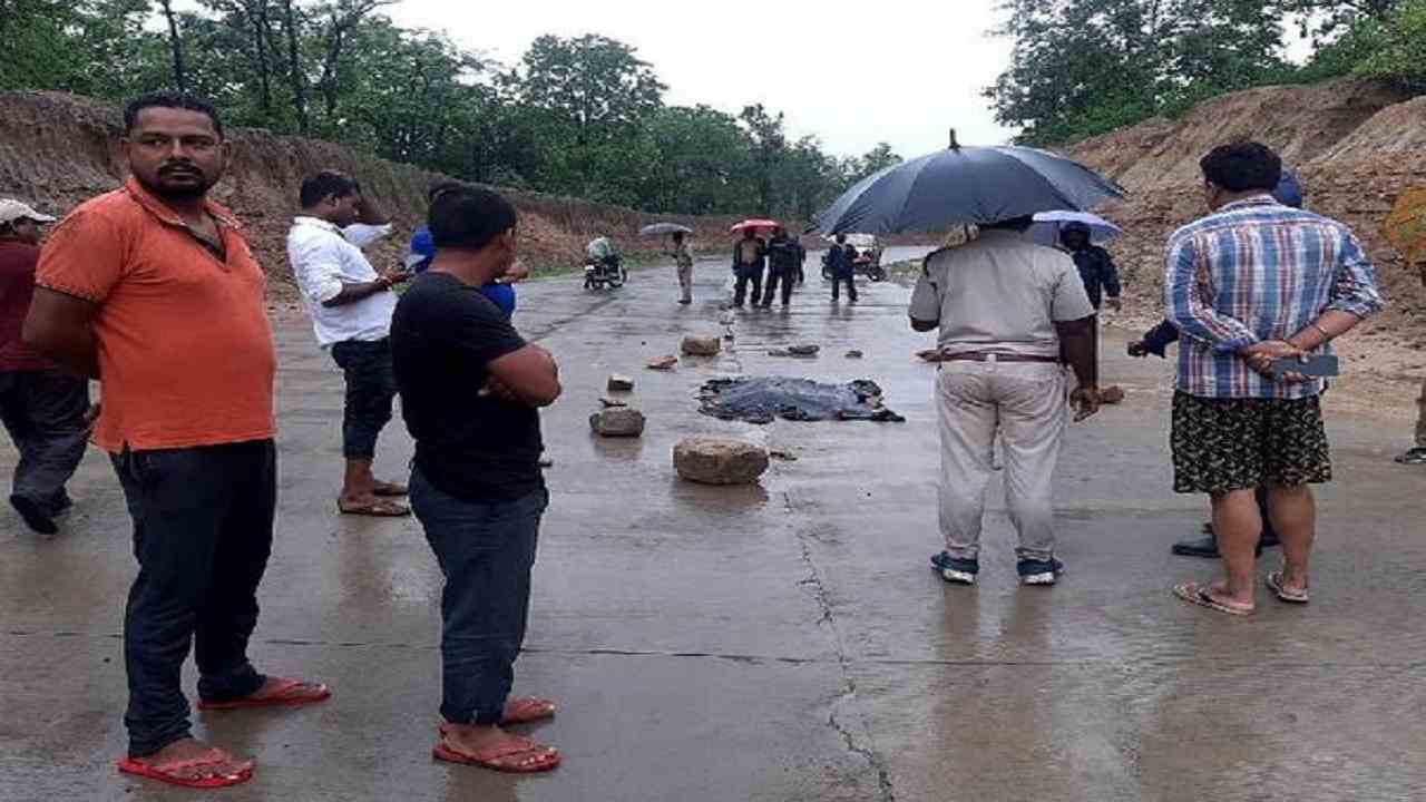 Umaria : एक्सीडेंट में बाघ के शावक की मौत, लापरवाही से गई जान&nbsp;