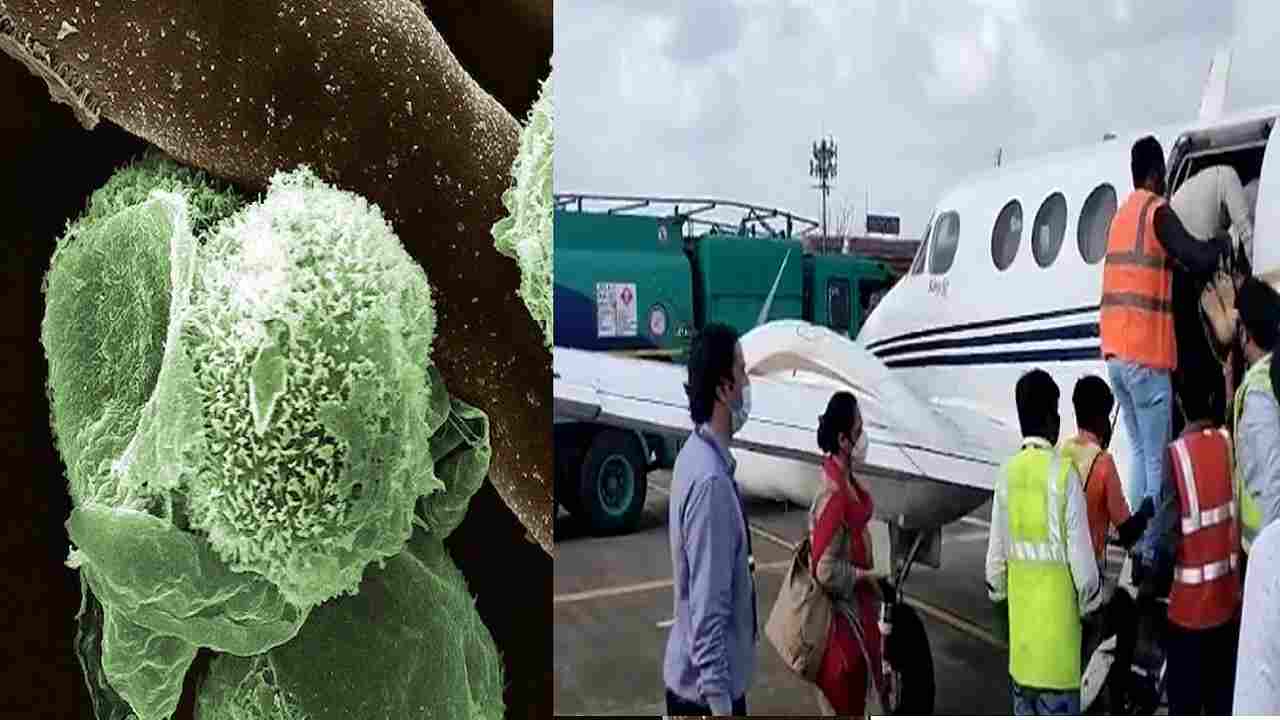 Indore में मिला देश का पहला Green Fungus का मरीज, किया गया मुंबई एयरलिफ्ट