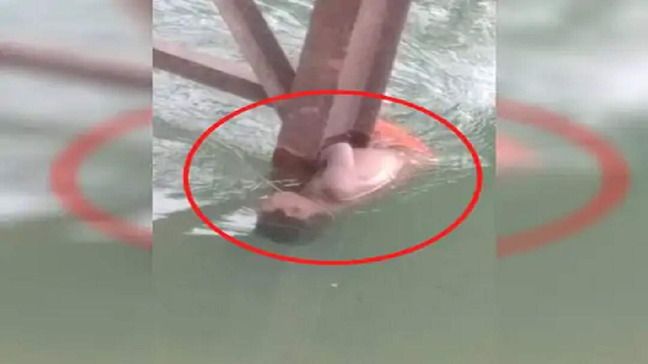 Rewa: 20 घंटे बाद 6 किलोमीटर दूर नहर में मिला लापता बच्चे का शव Rewa: 20 घंटे बाद 6 किलोमीटर दूर नहर में मिला लापता बच्चे का शव