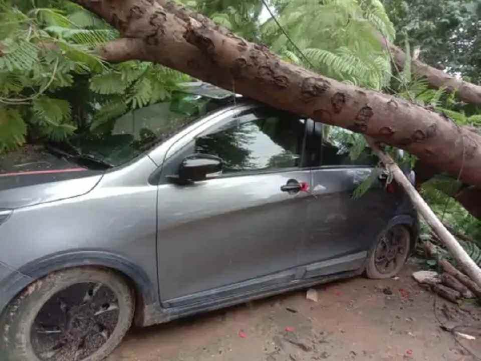 Rewa: कार पर गिरा विशालकाय पेड़, सिविल अस्पताल में हुआ हादसा Rewa: कार पर गिरा विशालकाय पेड़, सिविल अस्पताल में हुआ हादसा