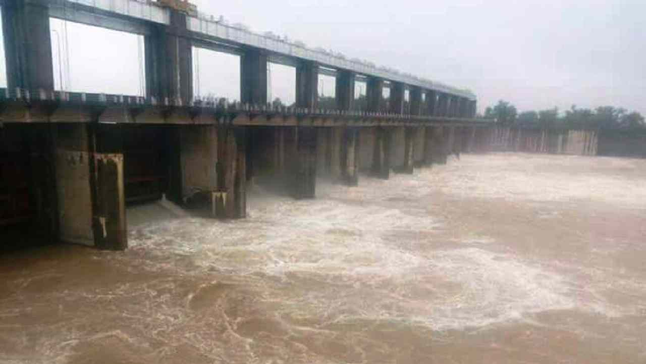 रीवा में भारी बारिश / बीहर के 13 और बकिया बराज के 8 गेट खोले गए, निचले इलाकों में अलर्ट जारी