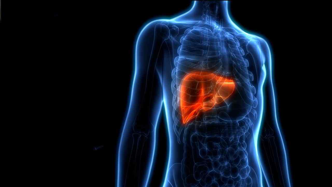 Facts About Human Liver : ये उपाय आपके लिवर की सारी गन्दगी बाहर निकाल देगा Facts About Human Liver : ये उपाय आपके लिवर की सारी गन्दगी बाहर निकाल देगा