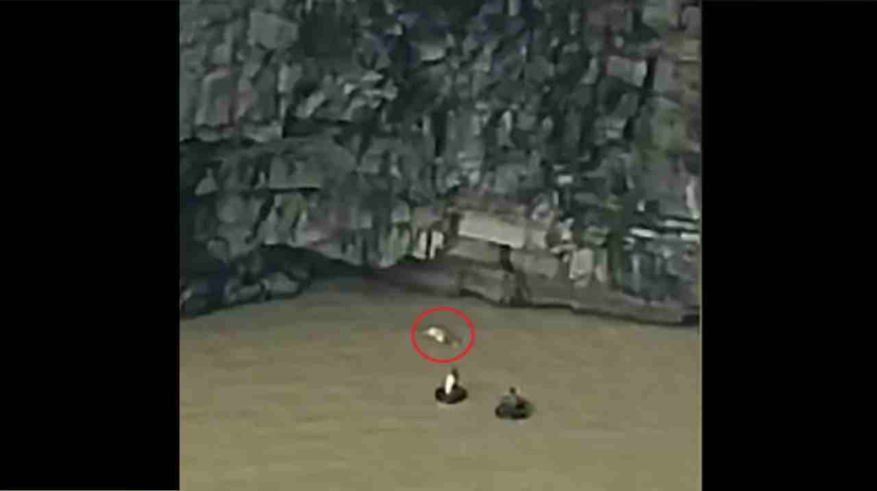 रीवा के Bahuti Waterfall में मिली युवक की डेड बॉडी, तीन दिन पहले लापता हुआ था रीवा के Bahuti Waterfall में मिली युवक की डेड बॉडी, तीन दिन पहले लापता हुआ था