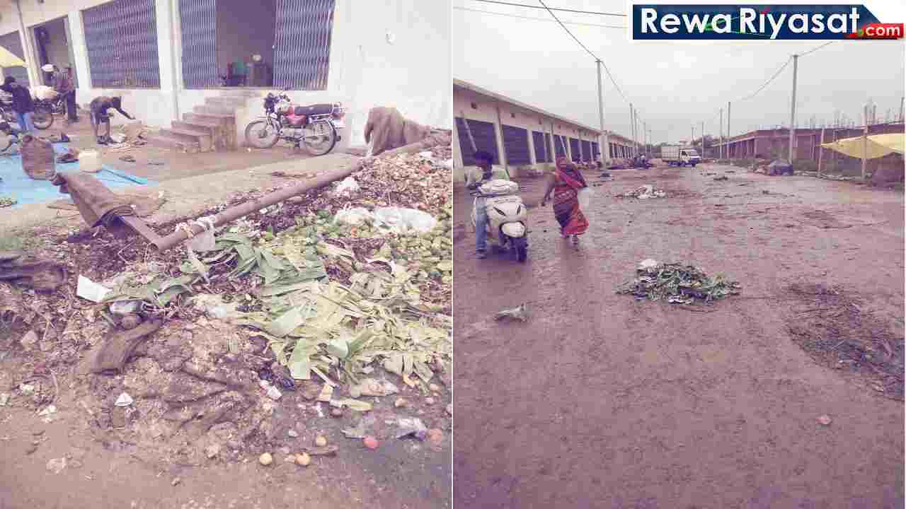 Rewa: कचरे और गंदगी से पटी नई सब्जी मंडी, आमदनी हजारों में लेकिन सफाई की ओर ध्यान नहीं Rewa: कचरे और गंदगी से पटी नई सब्जी मंडी, आमदनी हजारों में लेकिन सफाई की ओर ध्यान नहीं